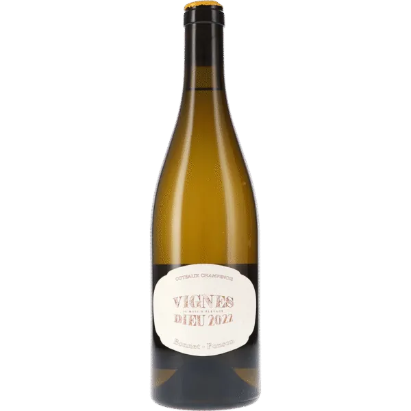 Vignes Dieu Blanc, Coteaux Champenois 2022 – Bonnet-Ponson