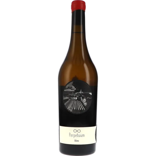 Perpetuum blanc 2020 – Johannes Zillinger