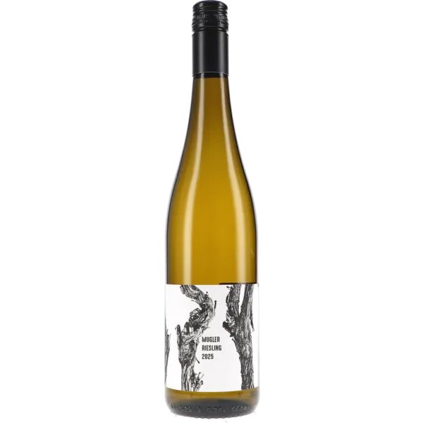Mugler Riesling trocken 2025 – M. Schädler - Steffen Mugler