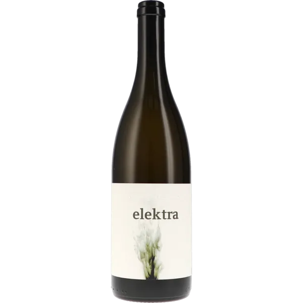 Grüner Veltliner Elektra 2022 – Nittnaus Anita & Hans