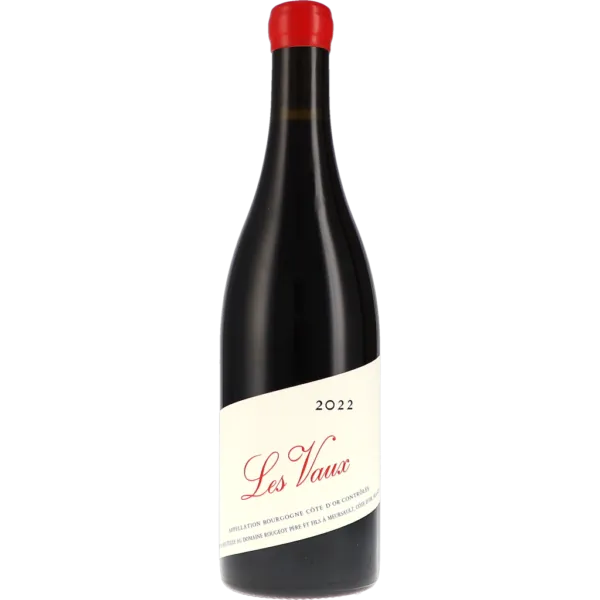 Bourgogne Côte d'Or "Les Vaux" Sans Sulfite Ajouté AOC 2022 – Rougeot Père & Fils