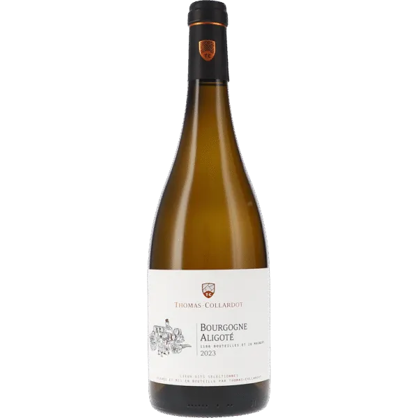 Bourgogne Aligoté AOC 2023 – Thomas-Collardot