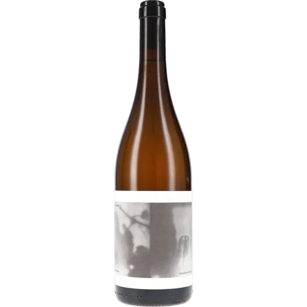 Sveto 2022 – Vino Gross