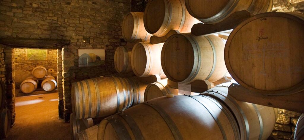 Vietti Barolo Cellar (Cantina)