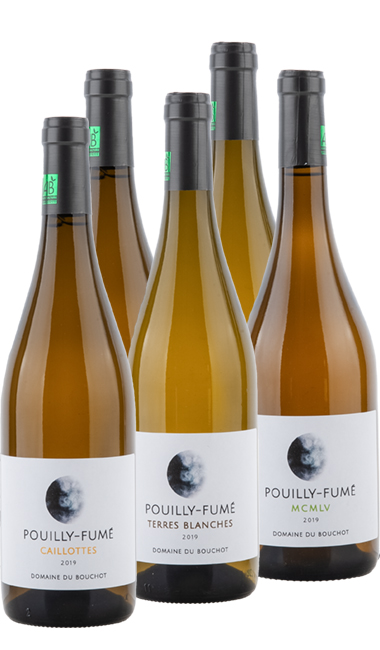 Pacchetto degustazione Domaine du Bouchot Pouilly-Fumé 2019 - Pacchetto degustazione