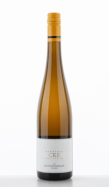 Sauvignon Blanc dry 2020 - Luckert - Zehnthof