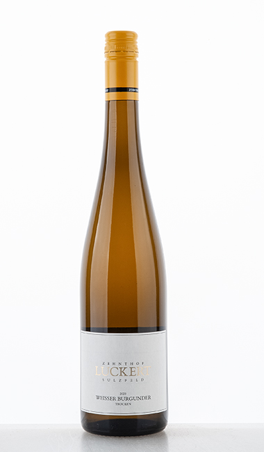 Weisser Burgunder dry 2020 - Luckert - Zehnthof