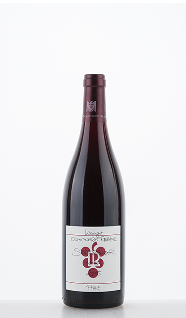 Pinot Noir "Tradition" dry 2015