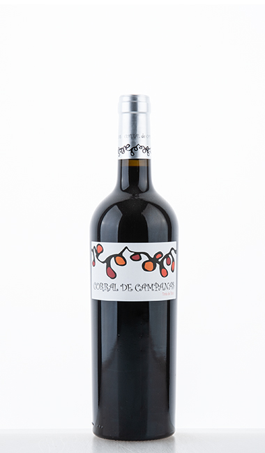 Corral de Campanas 2017