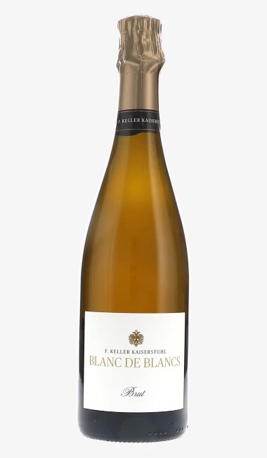 Blanc de Blancs Sparkling Wine Brut 2019