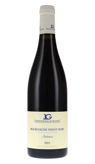 Bourgogne Pinot Noir "Antonin" AOP 2021