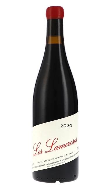 Bourgogne Côte d'Or "Les Lameroses" Sans Sulfite Ajouté AOC 2020