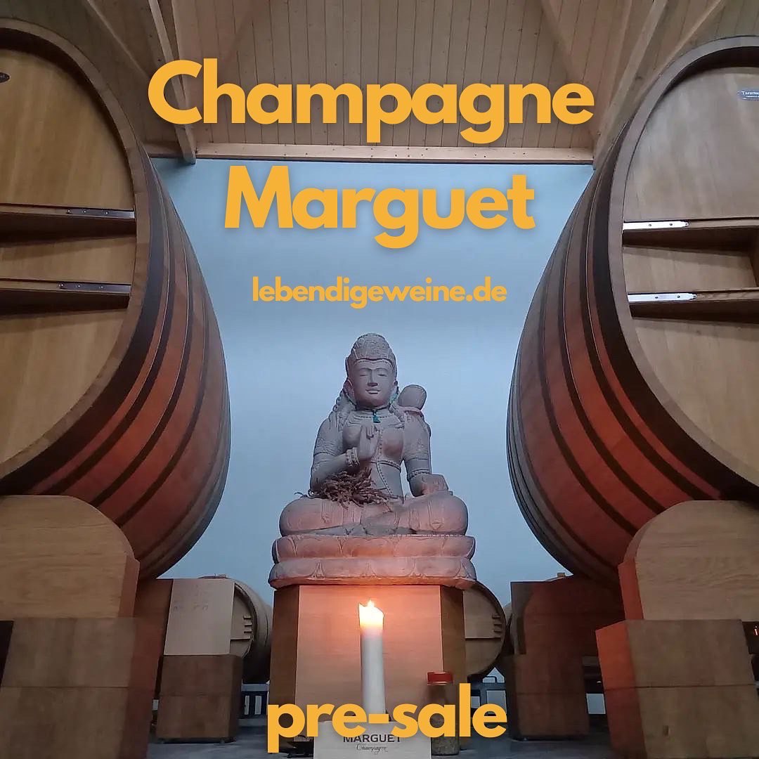 Champagne Marguet Pre-Sale