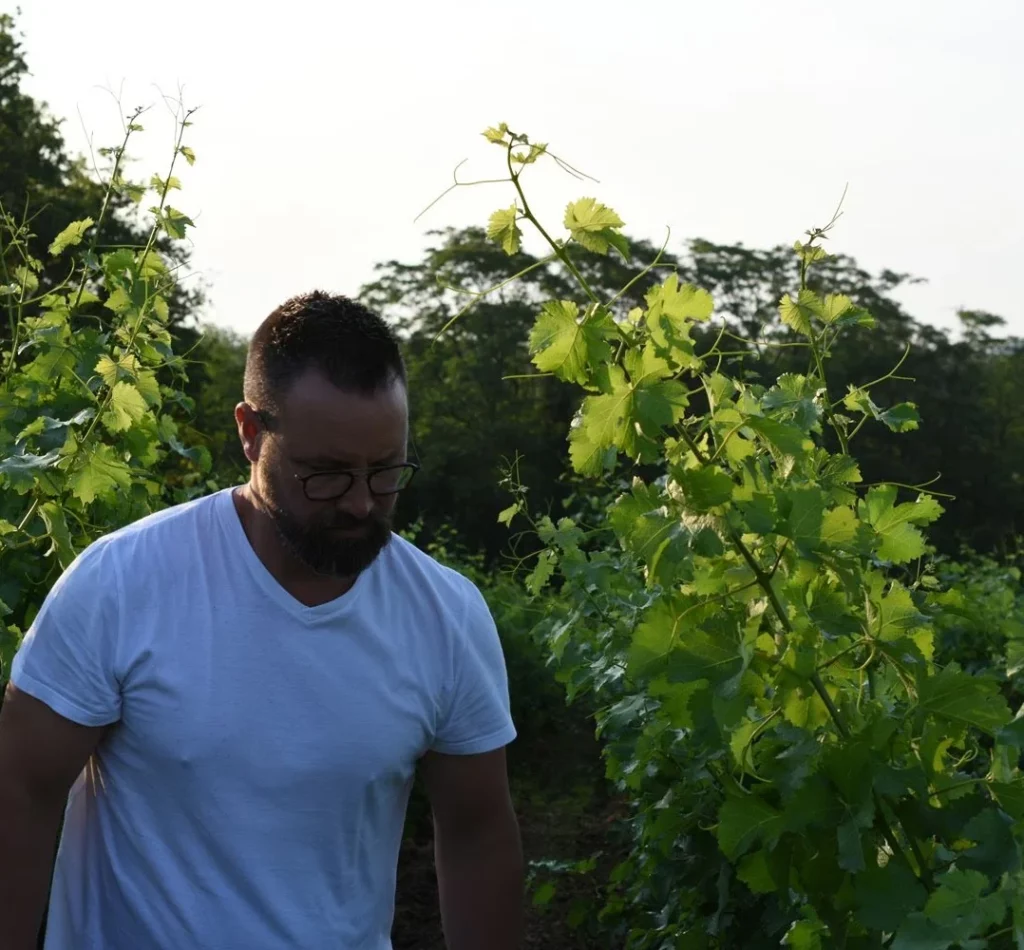 Guillaume Sorbe from the Les Poete vineyard