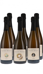 Pacchetto degustazione Louise Brison 2023