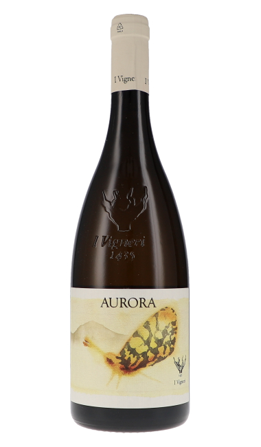 Aurora Bianco Caselle DOC 2022