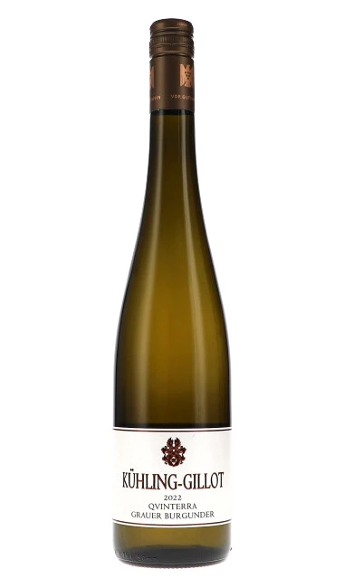 Qvinterra Pinot grigio secco 2022