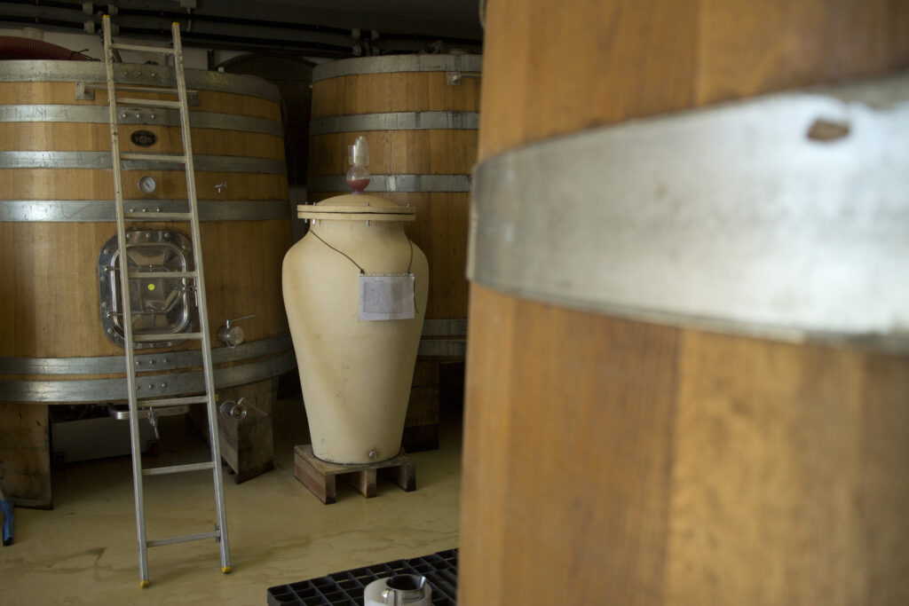 amphora in the cellar of the azienda duemani