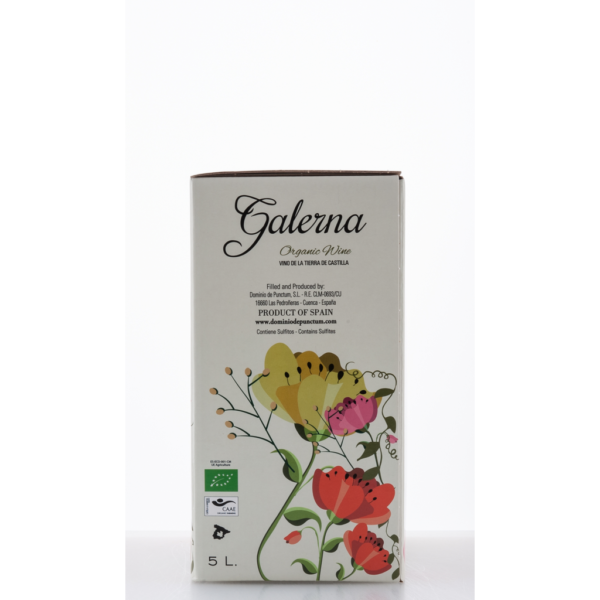 BioBox Verdejo Bag-in-Box 5000ml