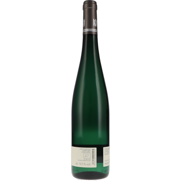 Riesling secco 2023