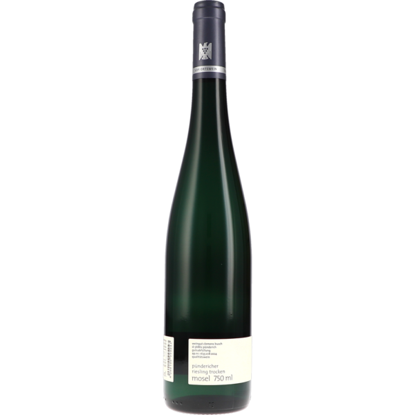 Riesling "vom blauen Schiefer" 2023
