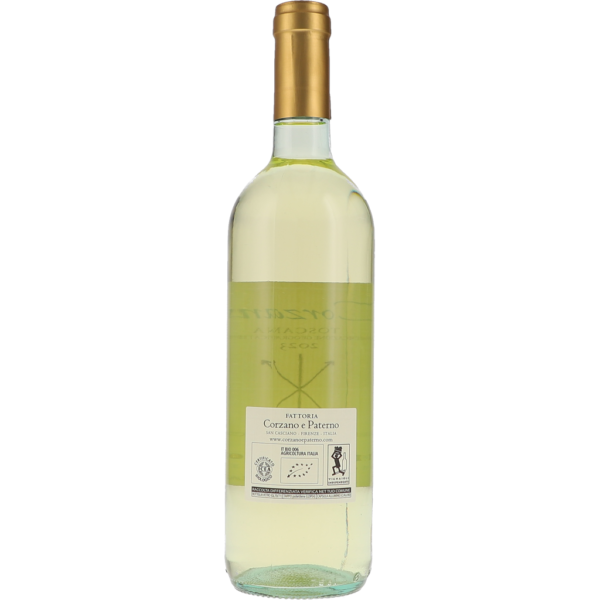 Il Corzanello Bianco IGT 2023