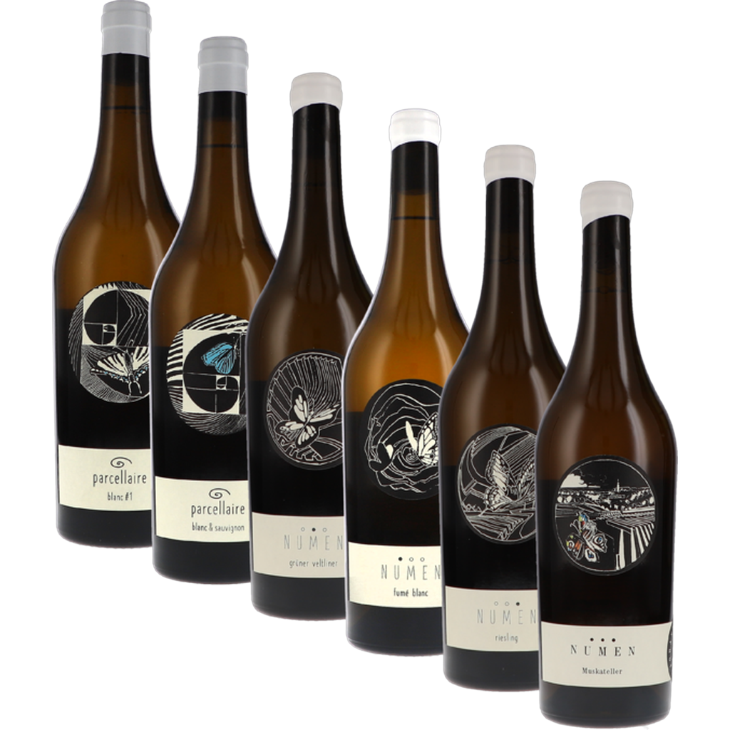Caisse de dégustation Johannes Zillinger vins blancs 4500ml