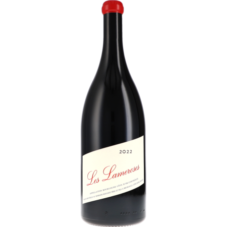 Bourgogne Côte d'Or "Les Lameroses" Sans Sulfite Ajouté AOC 2022 1500ml Magnum