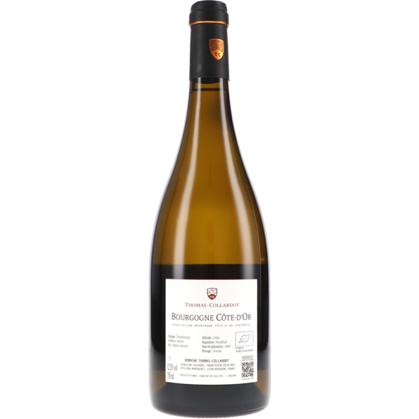 thomas collardot bourgogne cote d or blanc aoc square ddbfc png