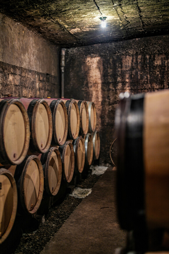 Der Fasskeller von Jean-Marc & Thomas Bouley in Volnay