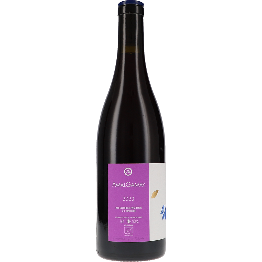 Athénaïs AmalGamay 2023