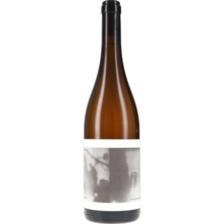 vino gross sveto square ffa png