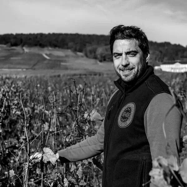 Thomas Bouley Thomas Bouley in seinen Weinbergen in Volnay