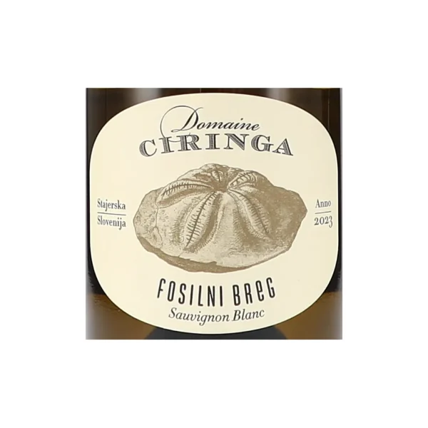 tement ciringa fosilni breg label fbcd webp